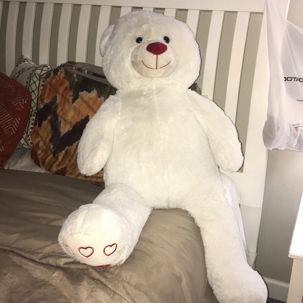 Teddy Bear